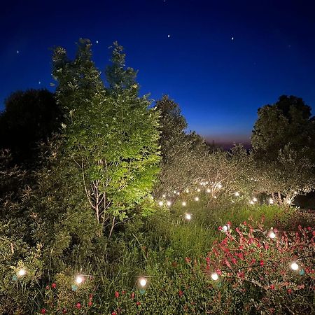 Glamping San Bart Hotel ซานวินเชนโซ ภายนอก รูปภาพ