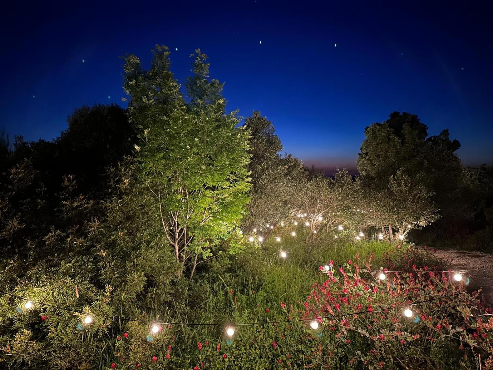 Glamping San Bart Hotel ซานวินเชนโซ ภายนอก รูปภาพ